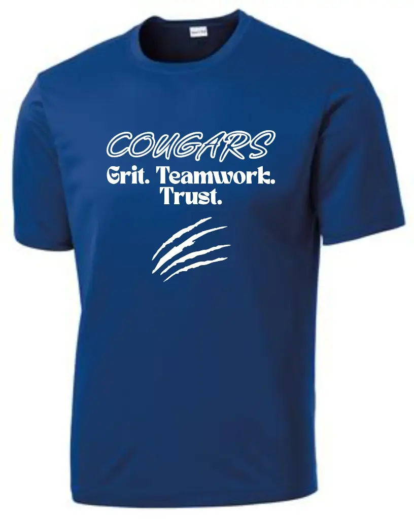 ST350-Royal-scaled (1).webp