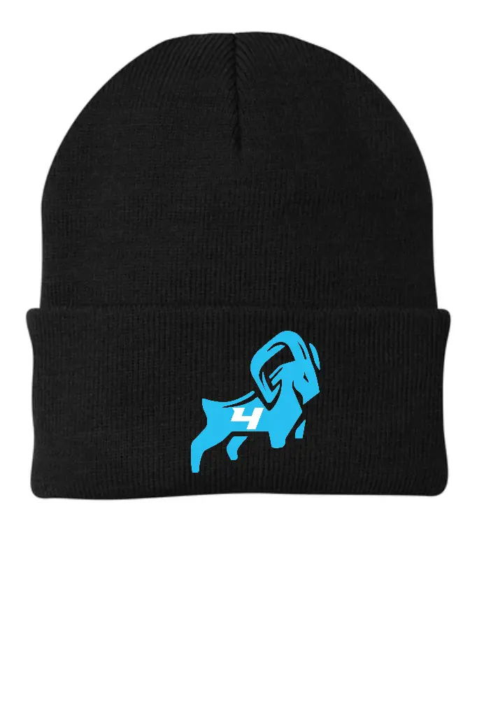 Built 4 This Beanie CP90