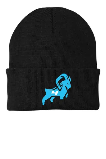 Built 4 This Beanie CP90